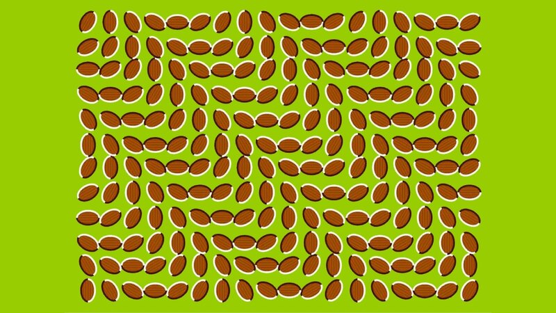 optical illusion with almonds