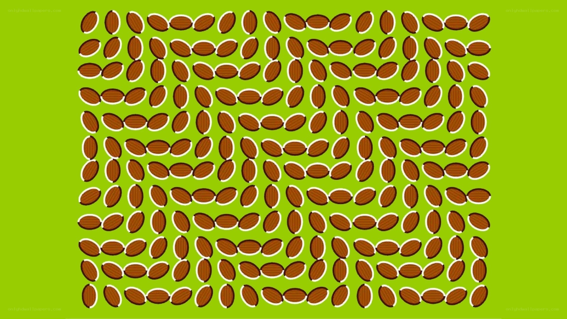 optical illusion with almonds