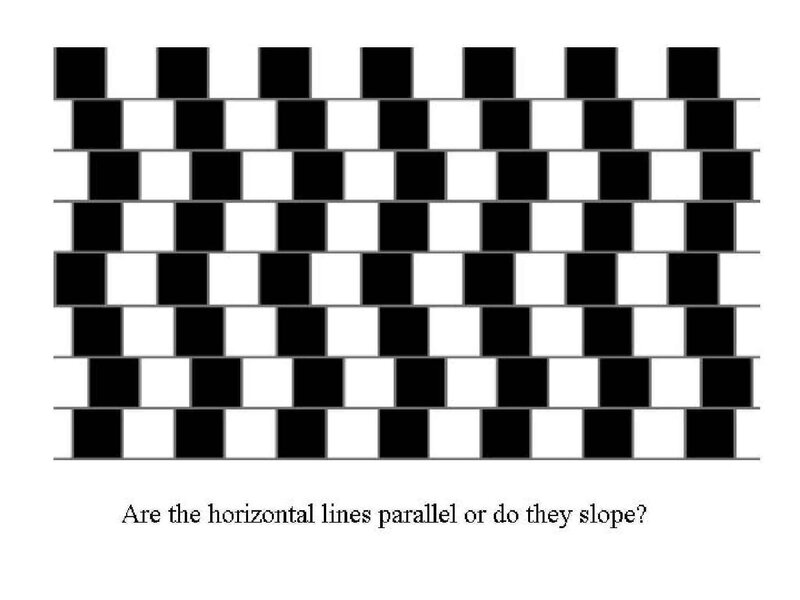 optical illusion with black and white squares