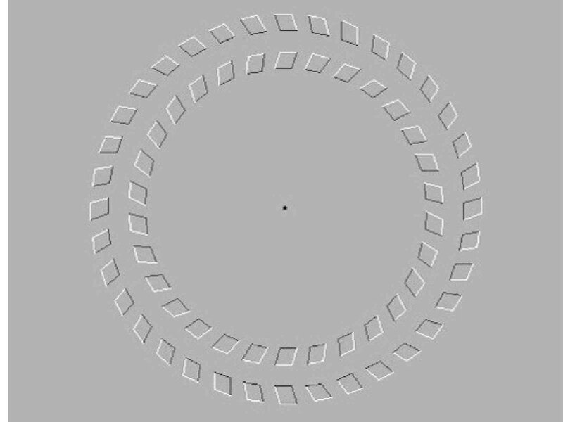 Optical illusion with rotating rings
