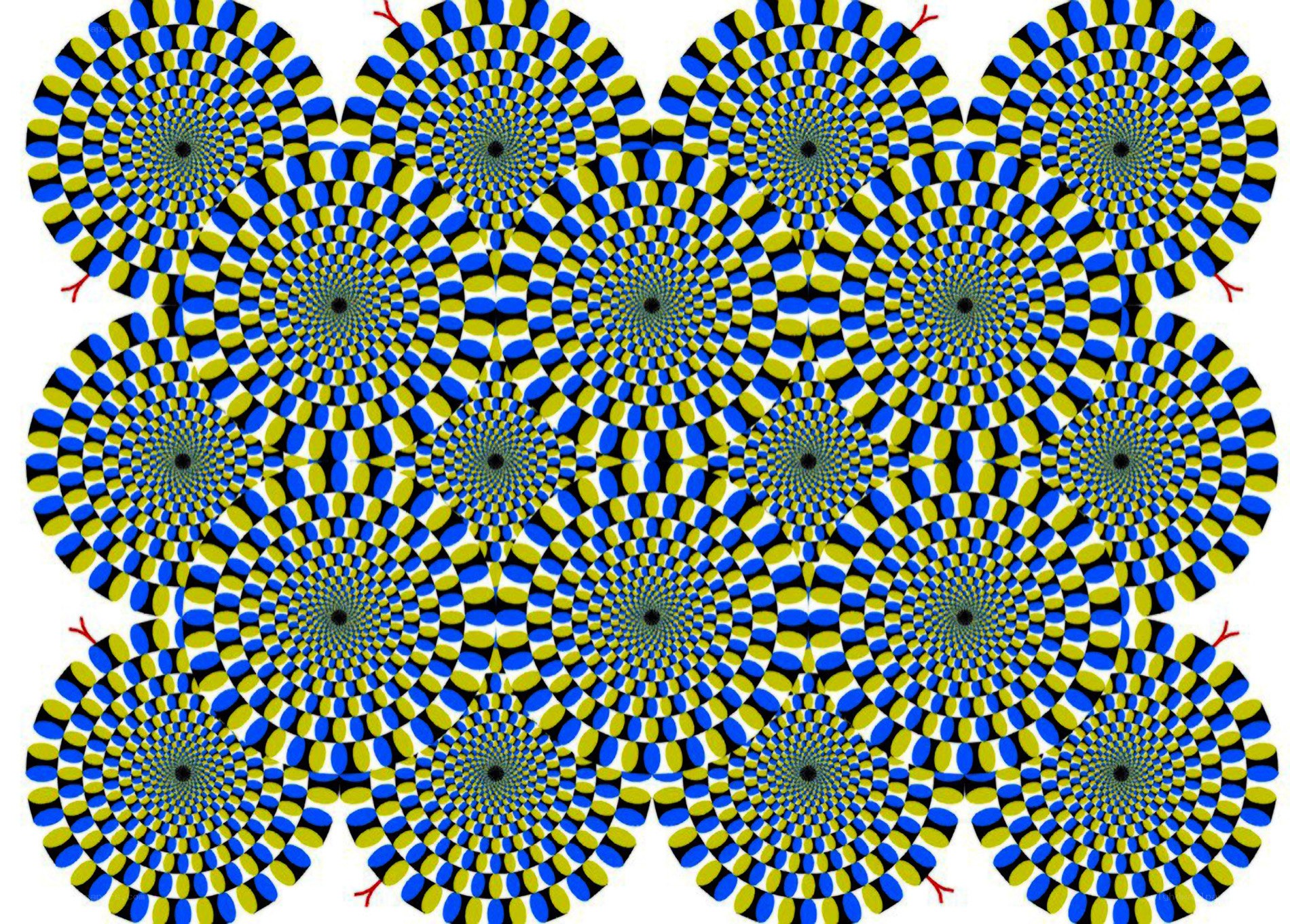Optical illusion with spirals