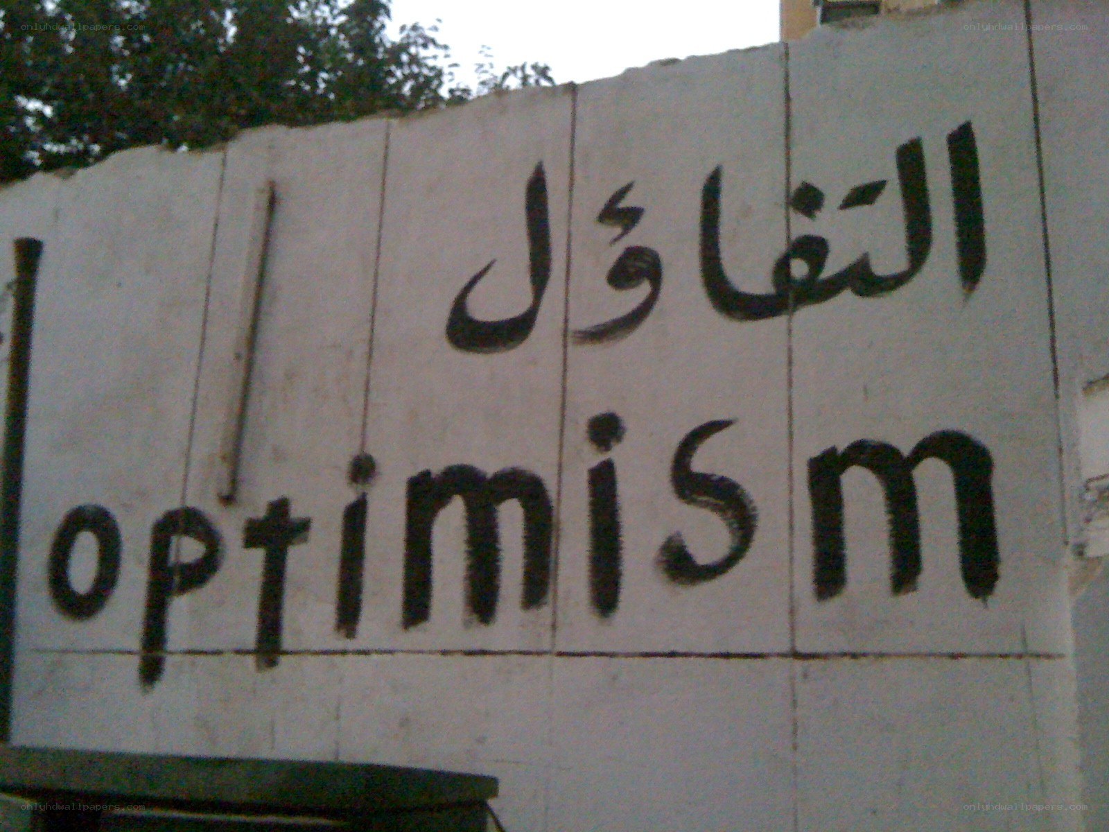 optimism sign in arabic and english