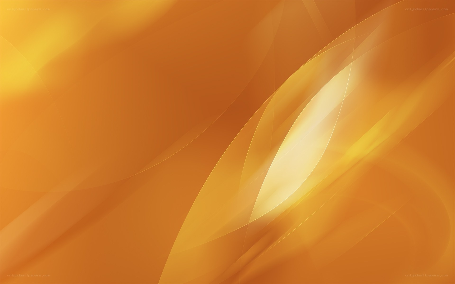 orange abstract wave design