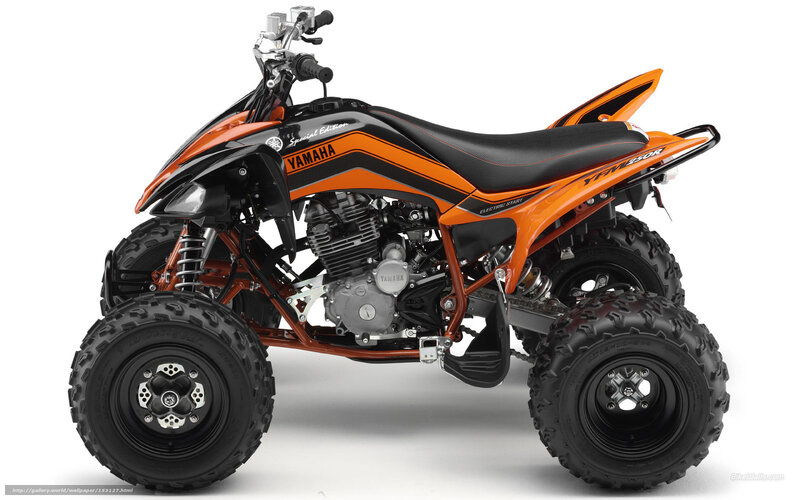 Orange and Black Atv — Neutral, Photograph