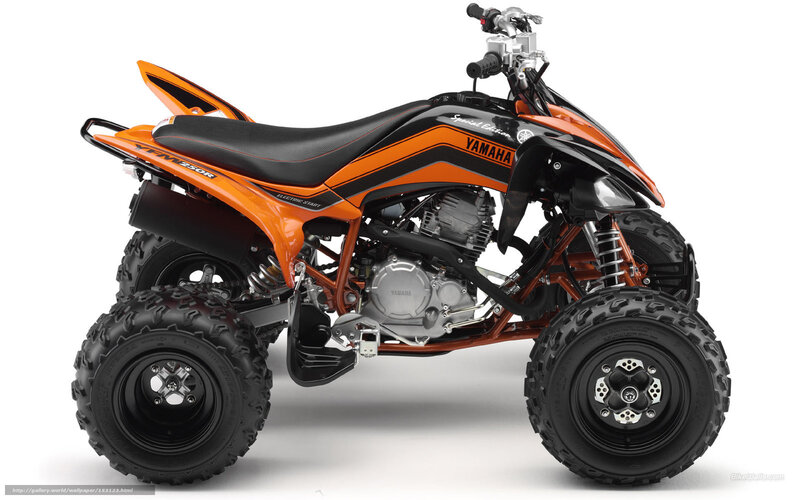 Orange and Black Atv — Neutral