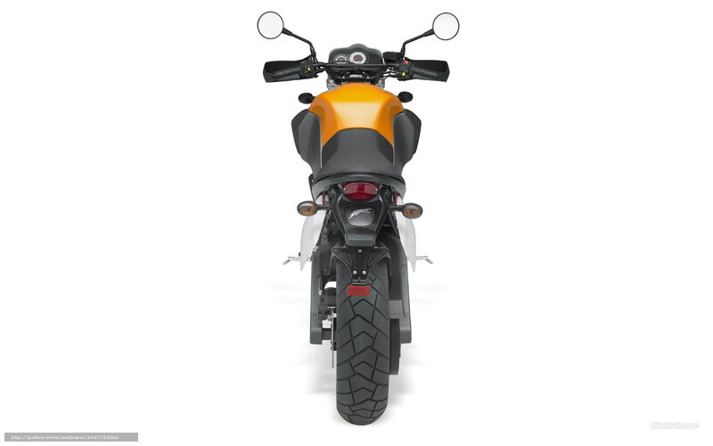 orange and black motorcycle rear view