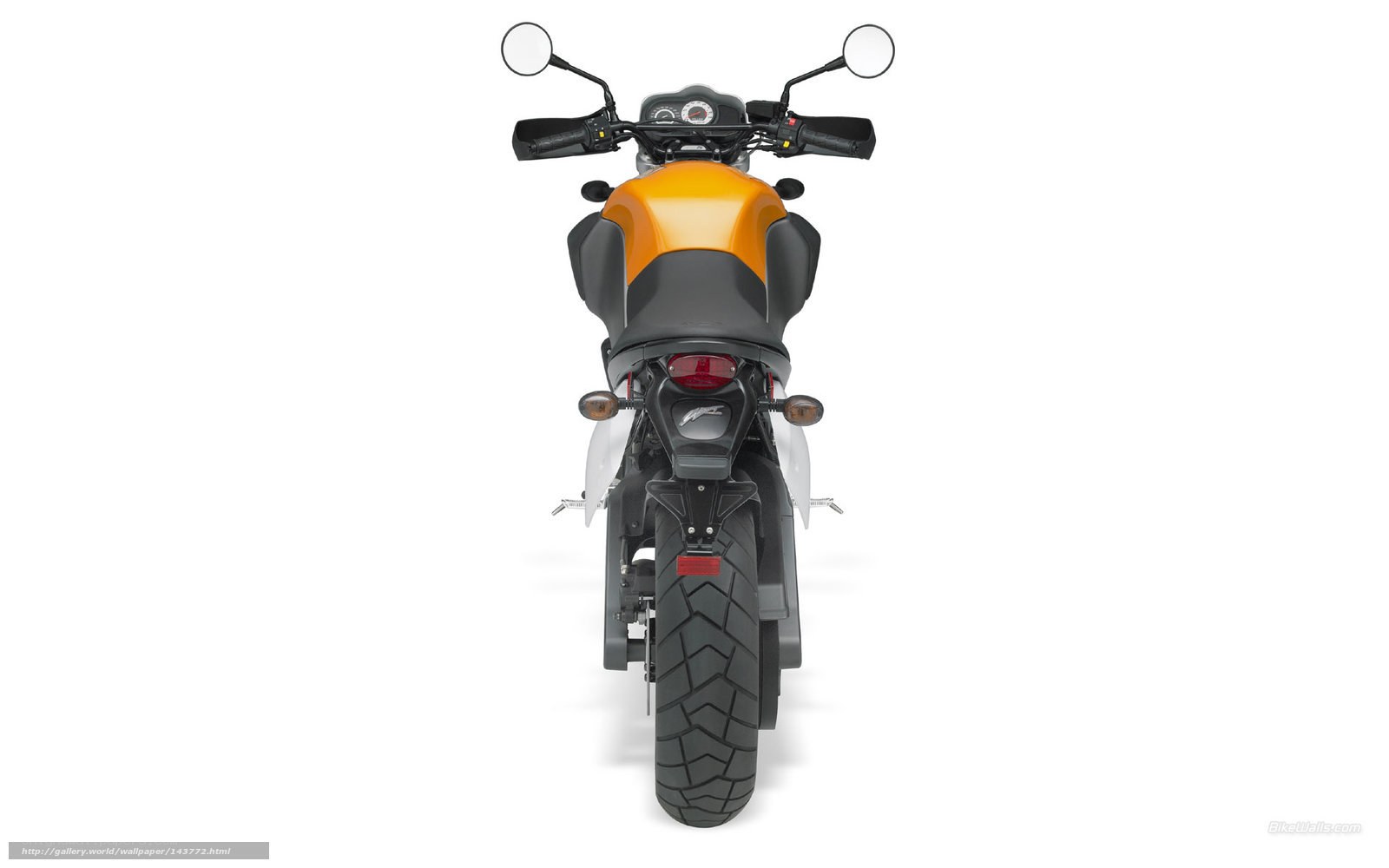 orange and black motorcycle rear view