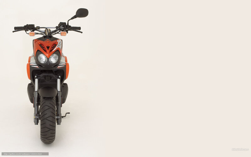 Orange and Black Scooter — Neutral