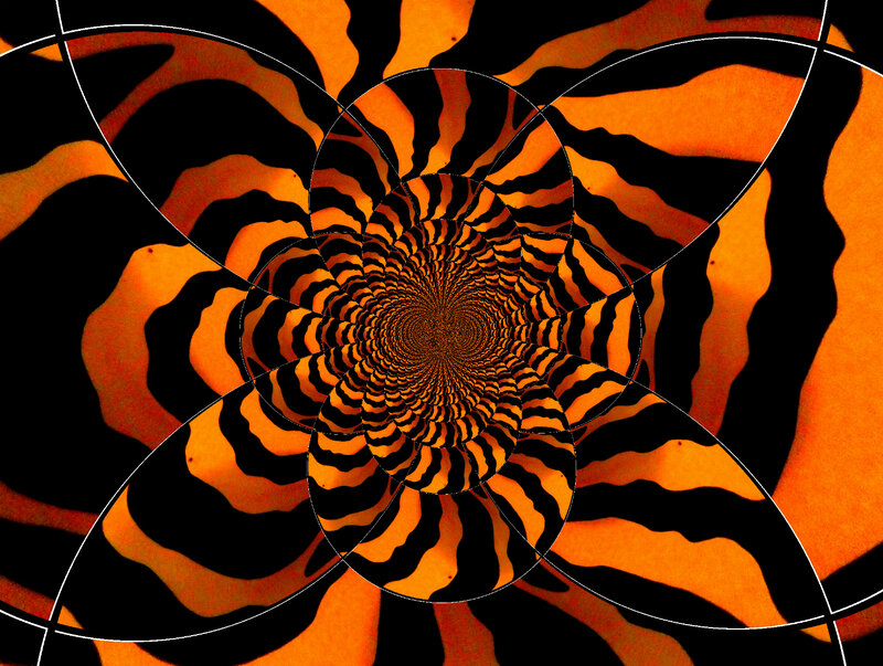Orange and Black Spiral