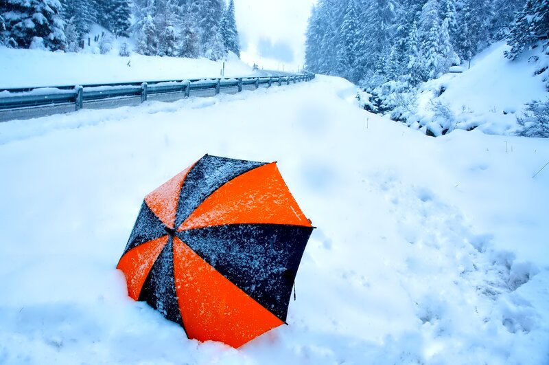 Orange and Black Umbrella