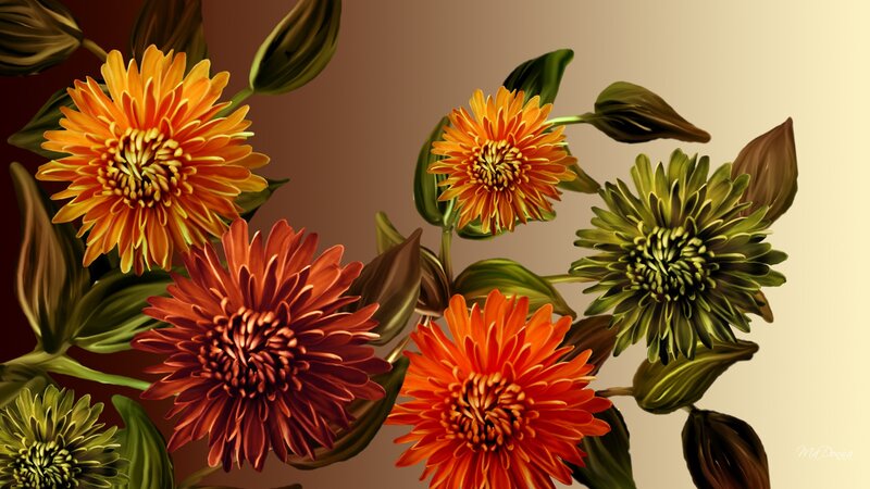 Orange and Green Chrysanthemums