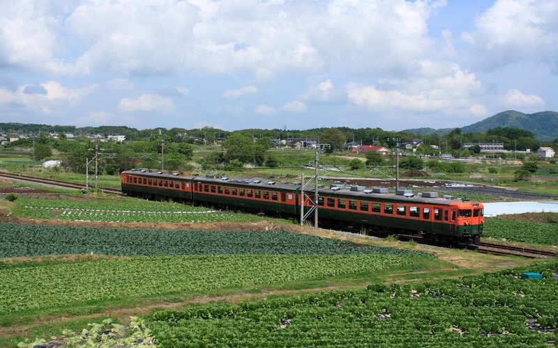 Orange and Green Train