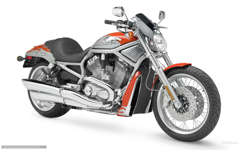 Orange and Silver Motorcycle — Neutral, Photograph, Seat
