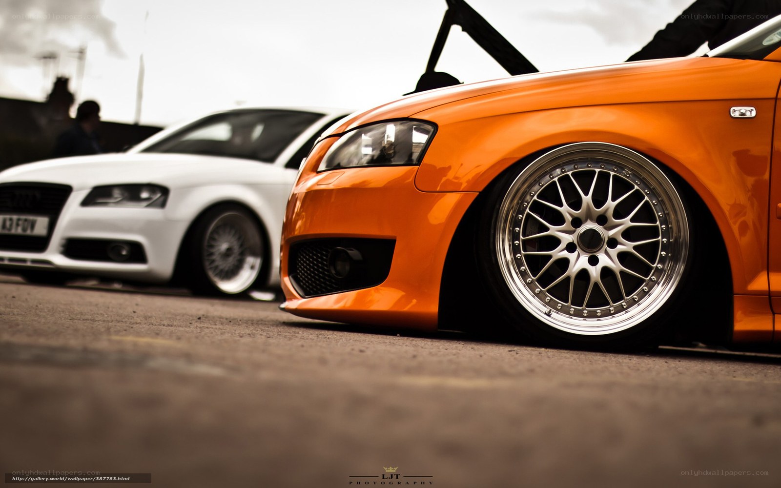 Orange and white Audi cars