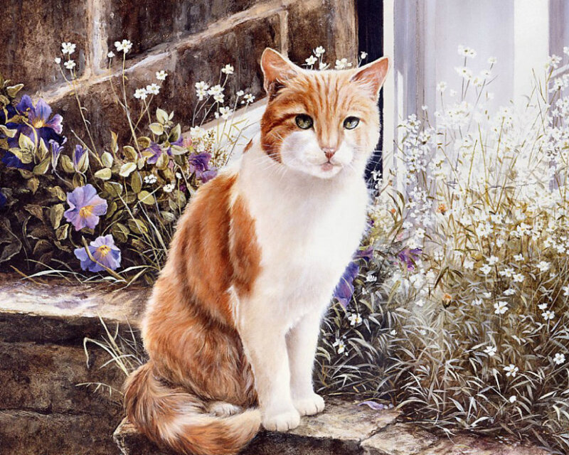 Orange and White Cat — Calm, Afternoon, Painting