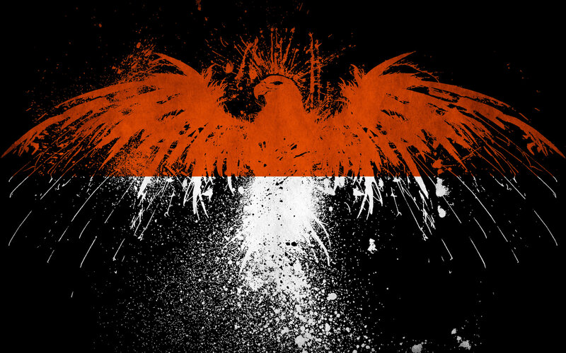 Orange and White Eagle