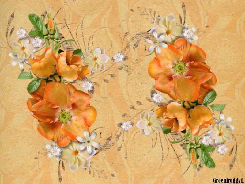 Orange and White Flowers — Calm, Illustration