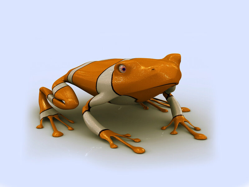 Orange and White Frog