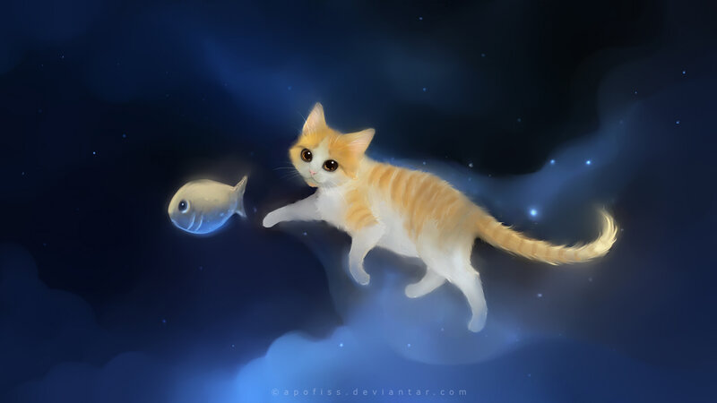 Orange and White Kitten — Blue, Serene, Night