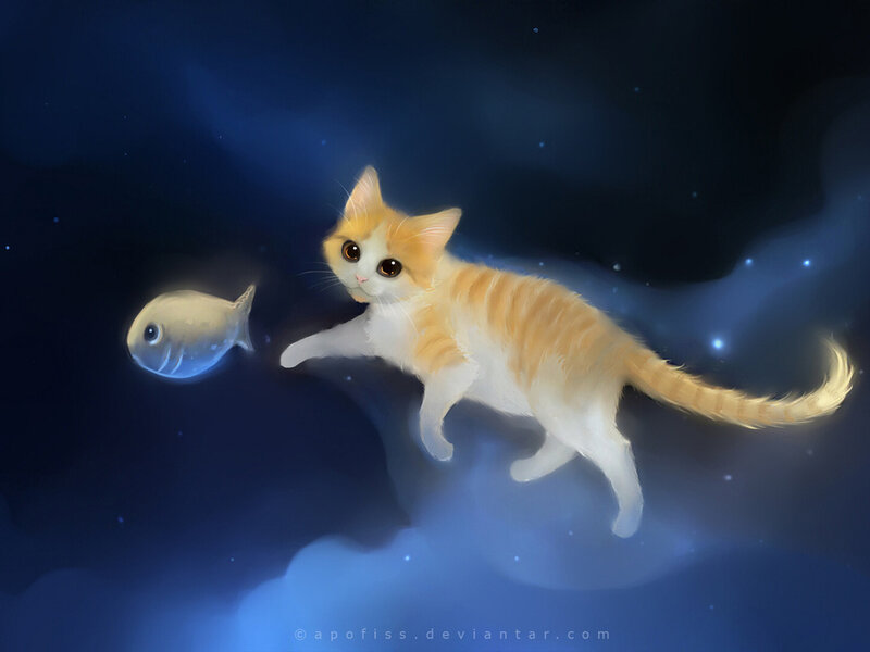 Orange and White Kitten — Blue, Serene