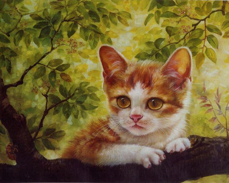 Orange and White Kitten — Green, Calm, Afternoon