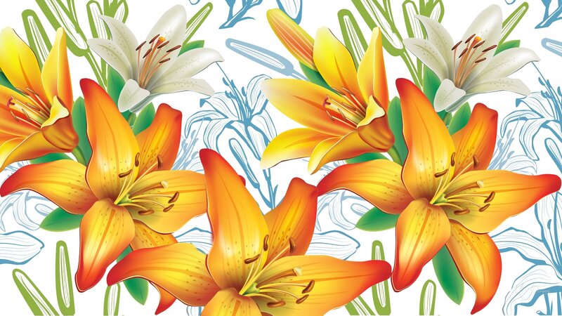 Orange and White Lilies — Yellow