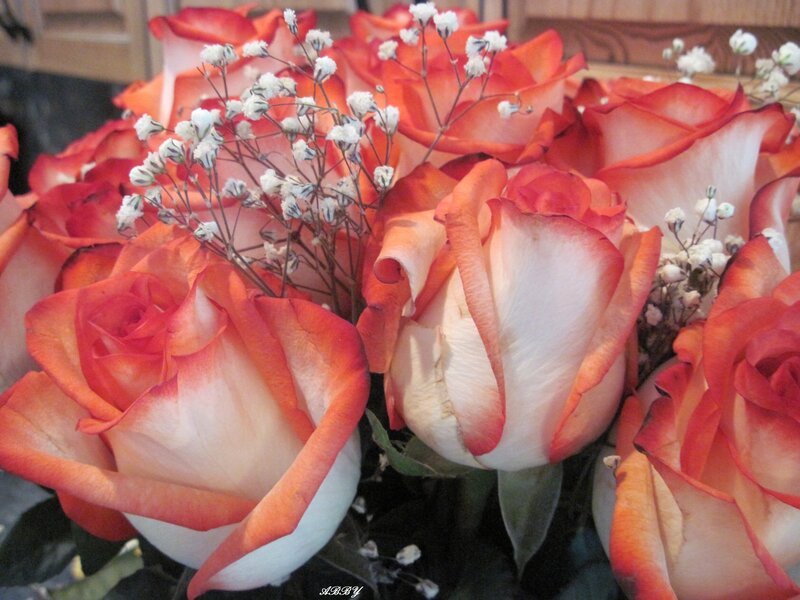 Orange and White Roses