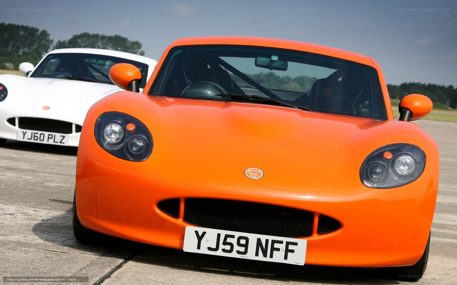 Orange and white sports cars