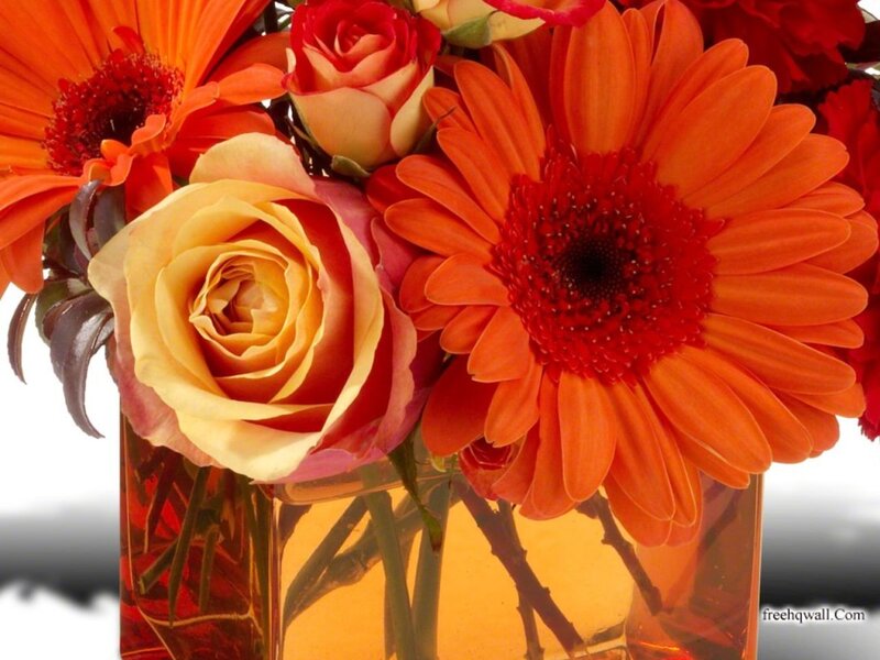 Orange and Yellow Flowers — Bright