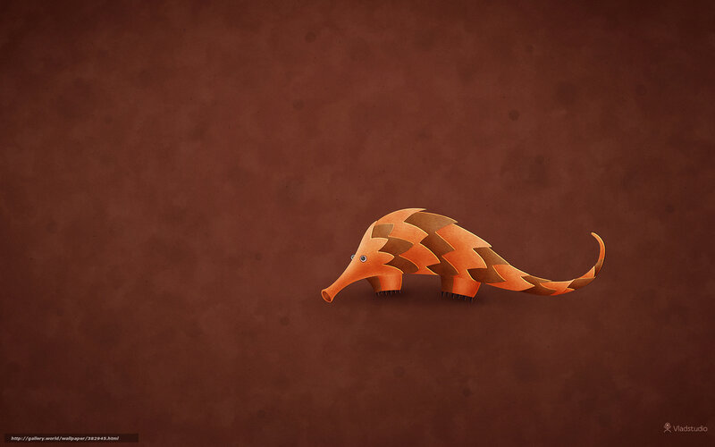 Orange armadillo illustration