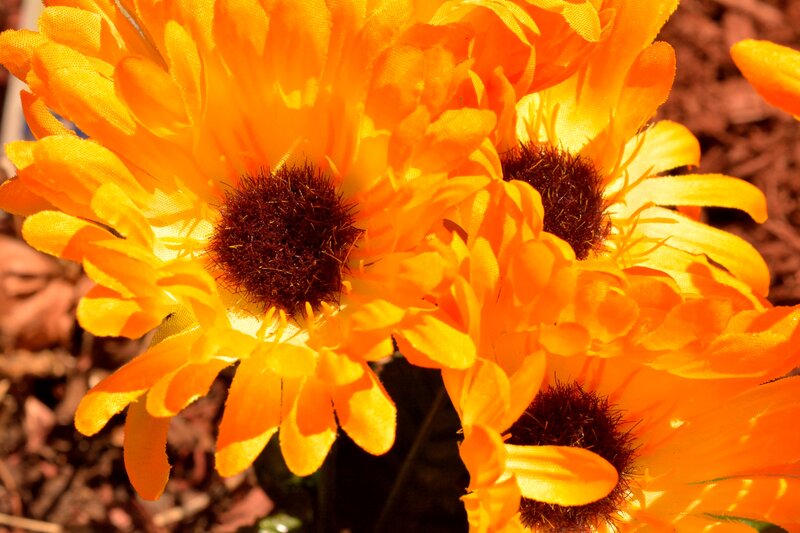 Orange Artificial Flowers