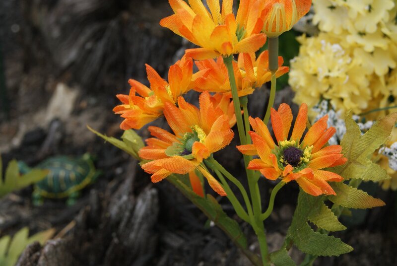 Orange artificial flowers with turtle