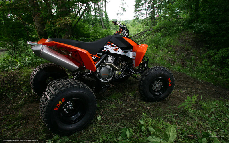 Orange ATV in forest