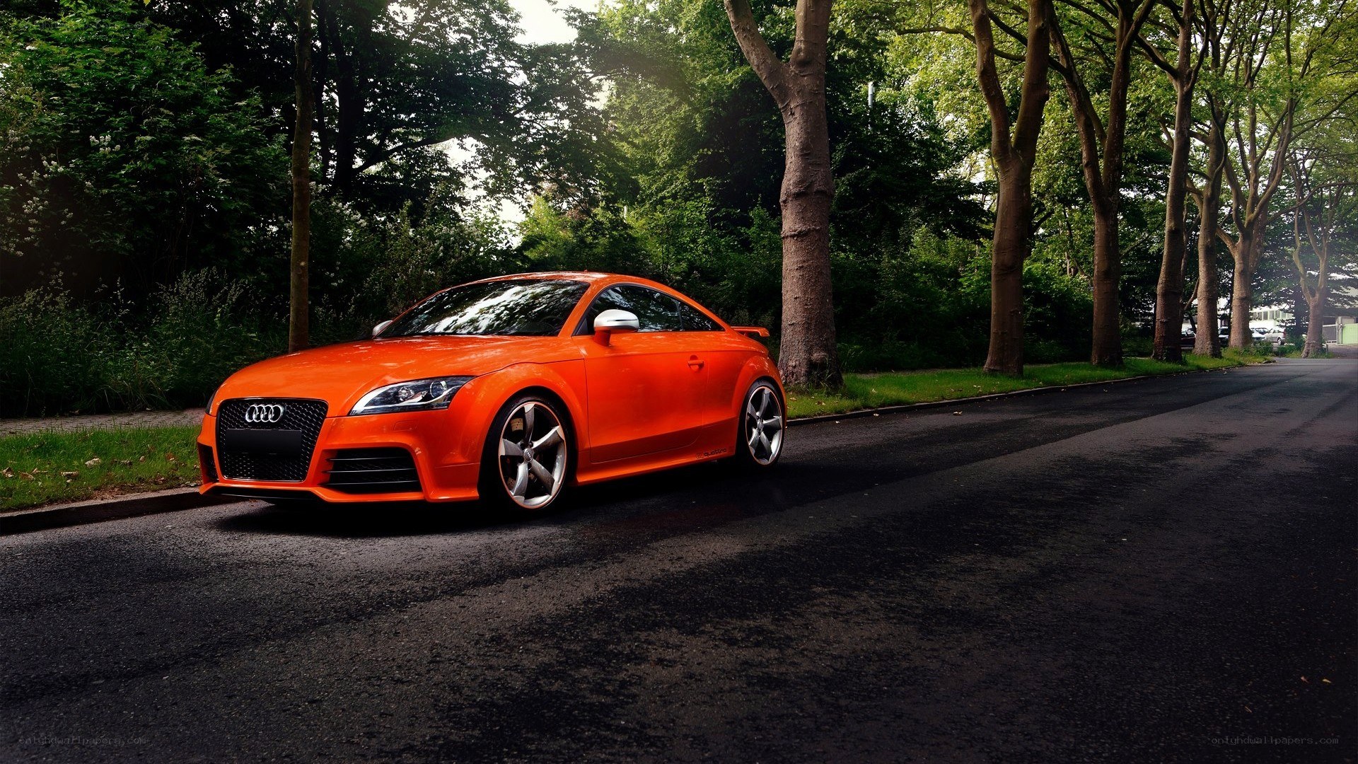Orange Audi TT on a tree-lined road