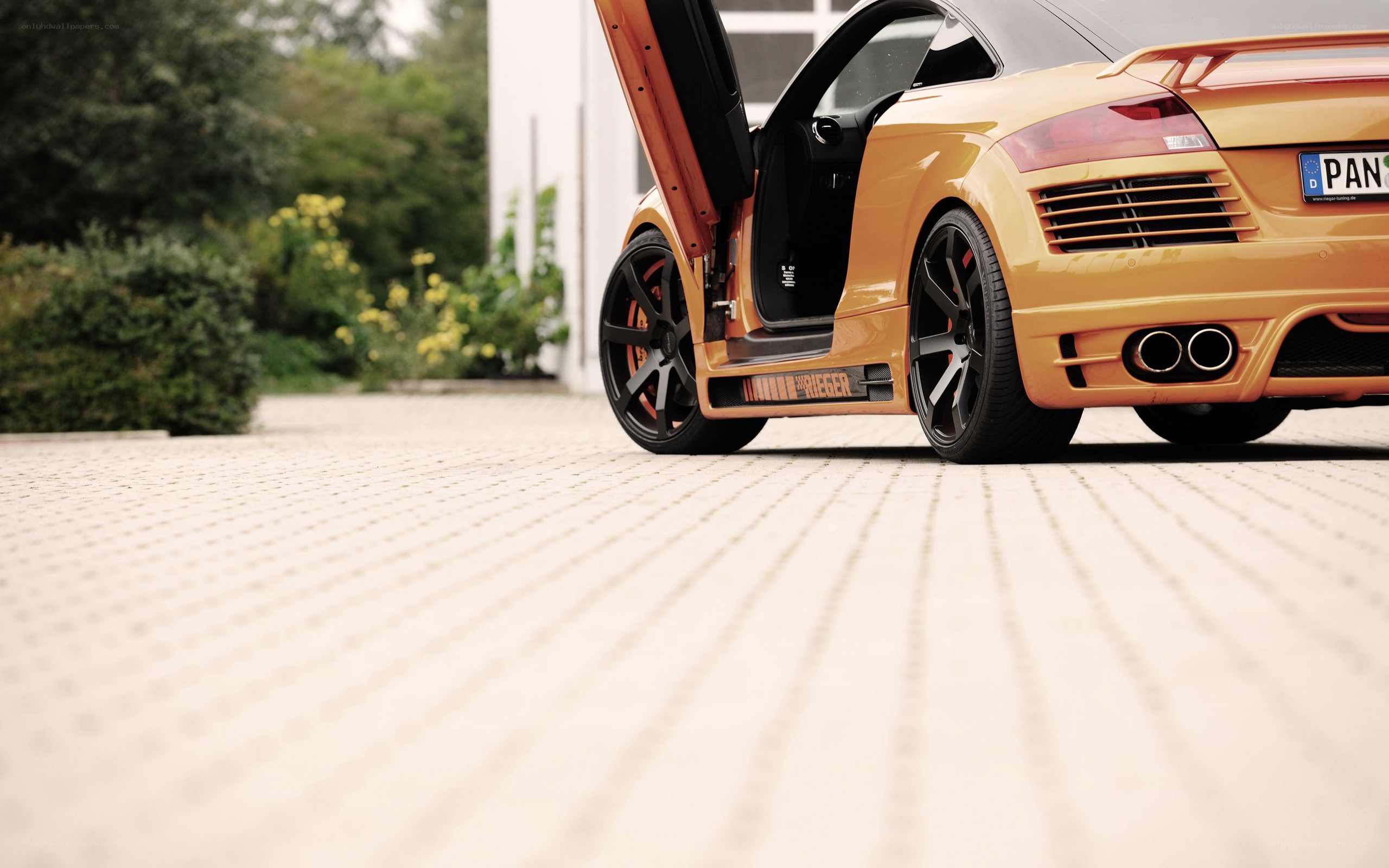 Orange Audi TT with open door