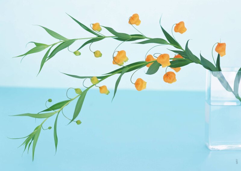 Orange Bell Flowers