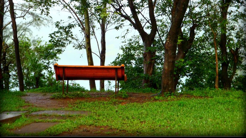 Orange Bench in Forest
