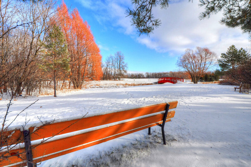 Orange Bench in Snow