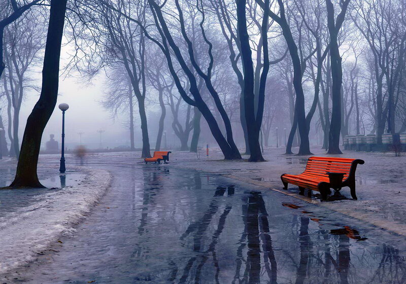 Orange Benches in Park