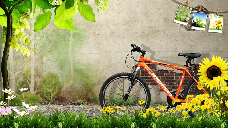 Orange Bicycle Against Wall