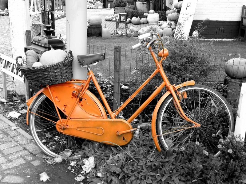 Orange bicycle with pumpkin basket