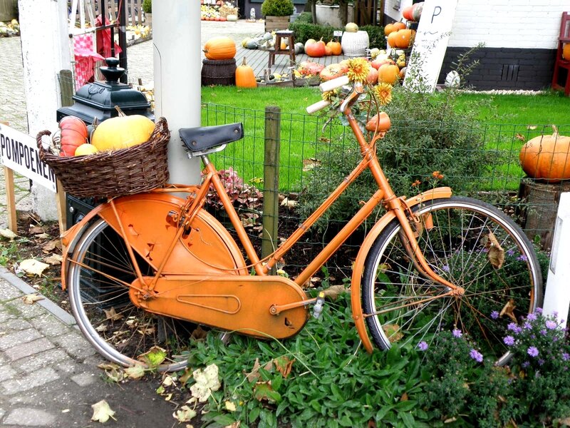 Orange bicycle with pumpkins
