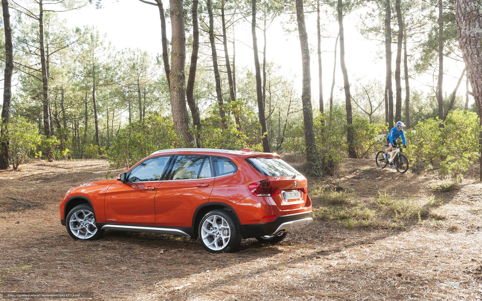 Orange BMW in forest with cyclist
