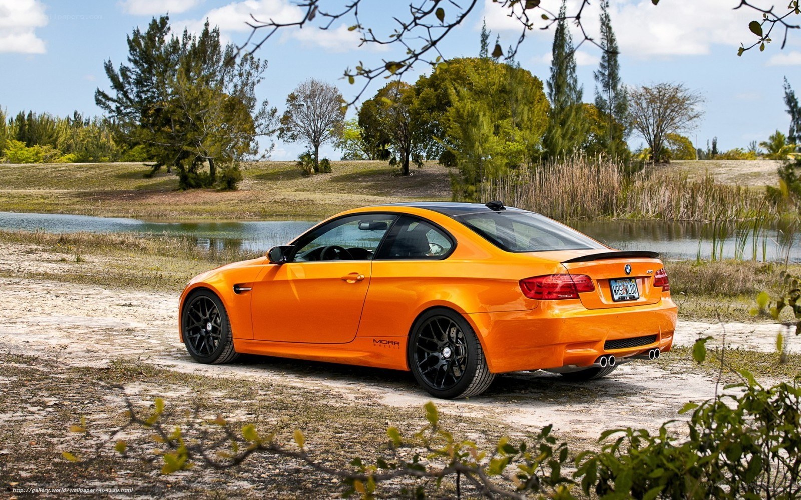 Orange BMW M3 by a pond
