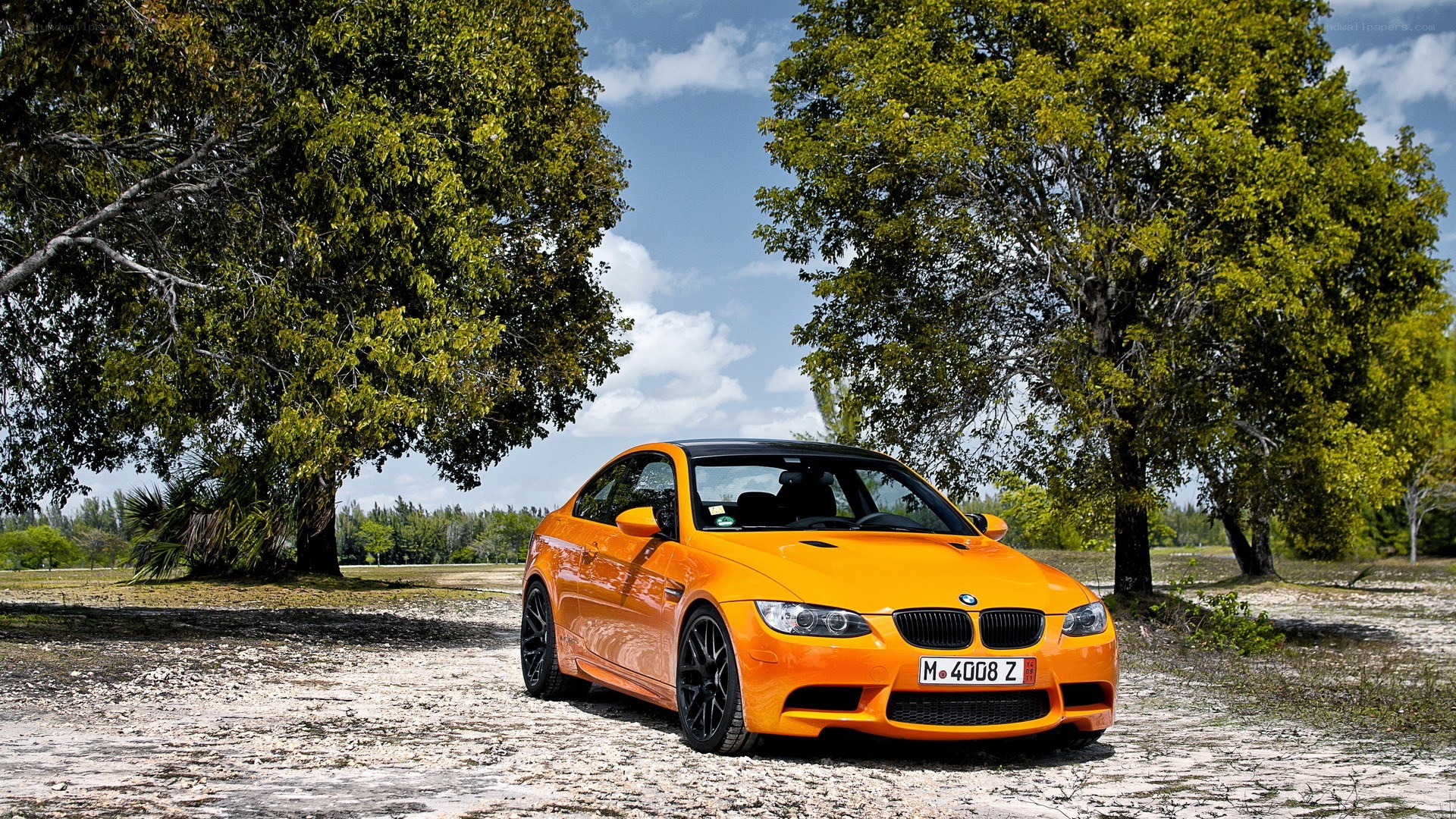 Orange BMW M3 in a park