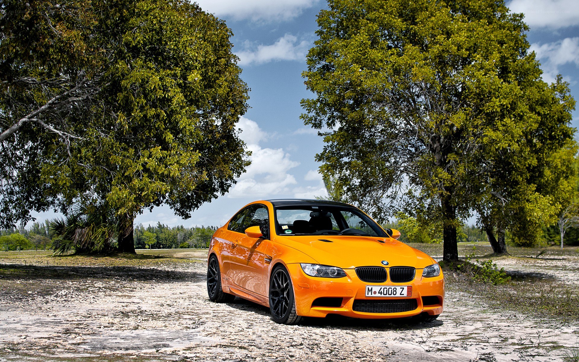 Orange BMW M3 in a park