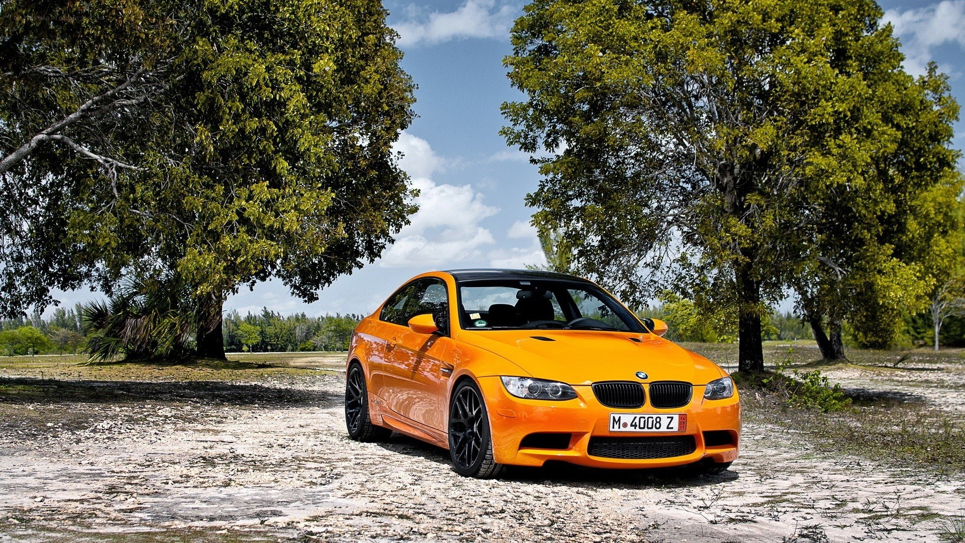 Orange BMW M3 in a park