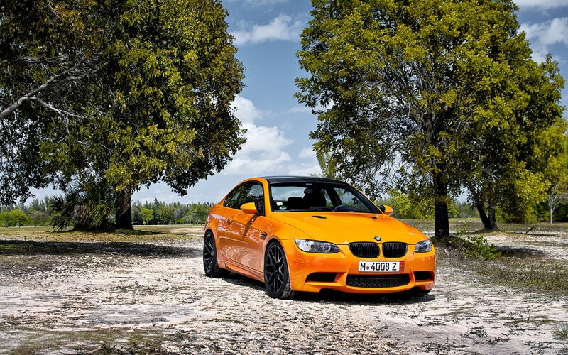 Orange BMW M3 in a park