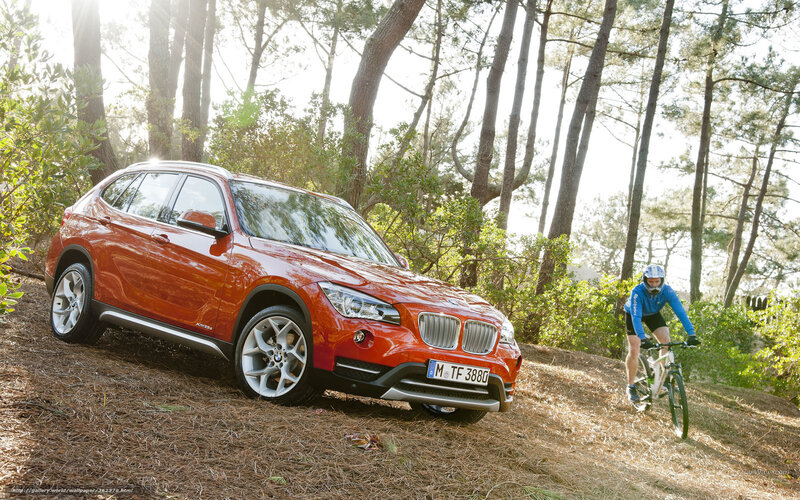 Orange BMW X1 in forest