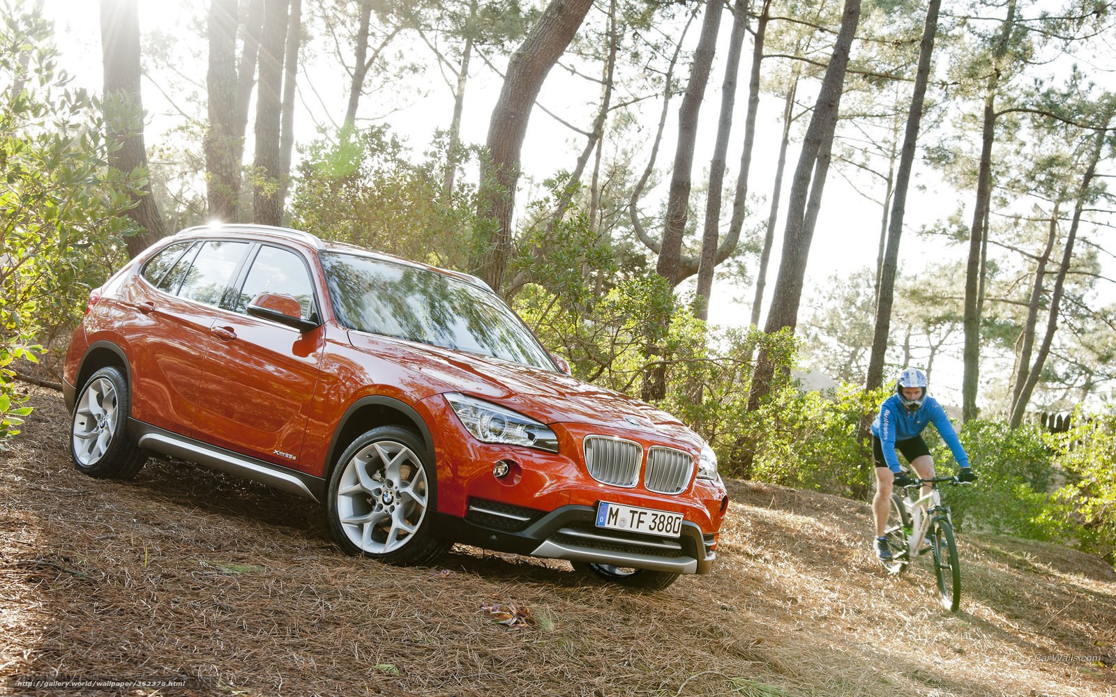 Orange BMW X1 in forest